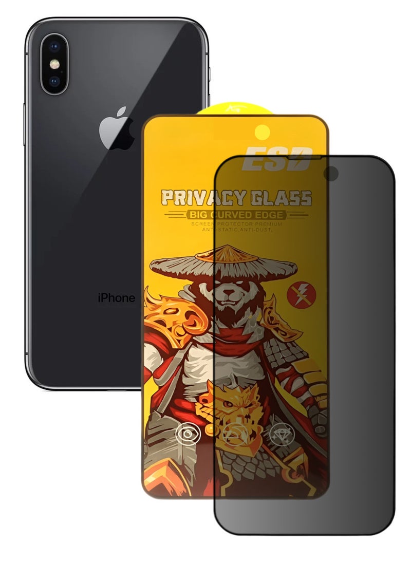 ESD Tempered Dustproof Privacy Glass Screen Protector Compatible For iPhone X - Image 1