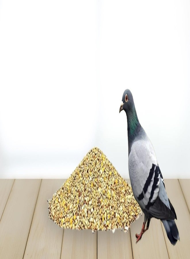 MASHKI Pigeon Food Mix with Multigrain & Seeds. Hand Picked Essential Ingredients with 13 Delicious Grains & Nuts for Pigeons & Doves. A Super Food for All Bird Feeder & Breeds… (3) - Image 2