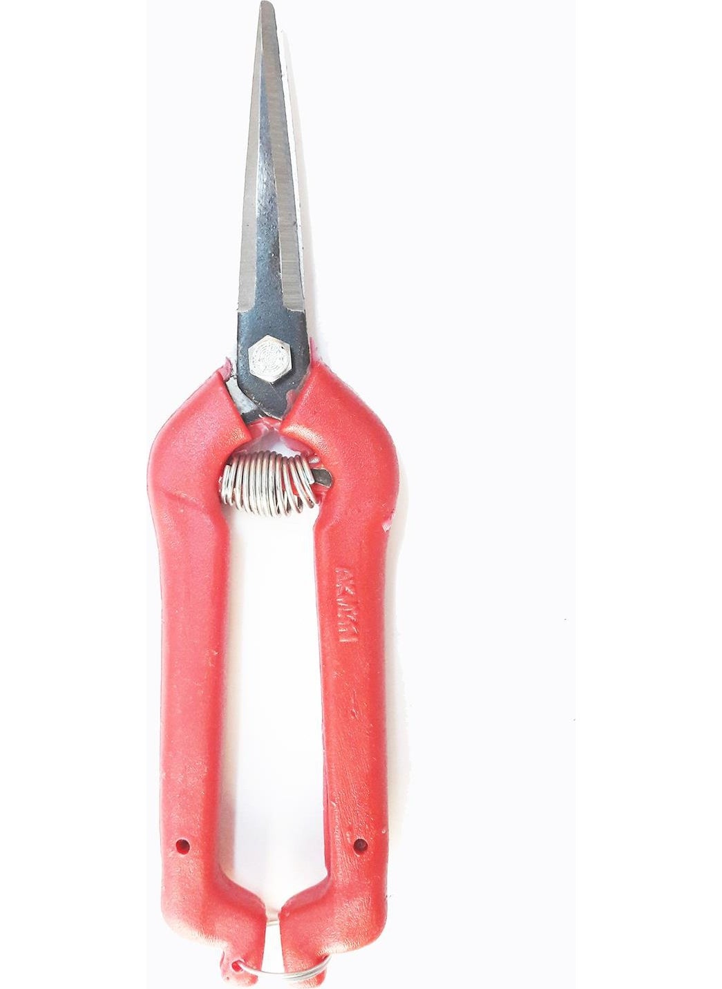Ennalbur Akman Grape and Citrus Scissors Pointed Tip 
