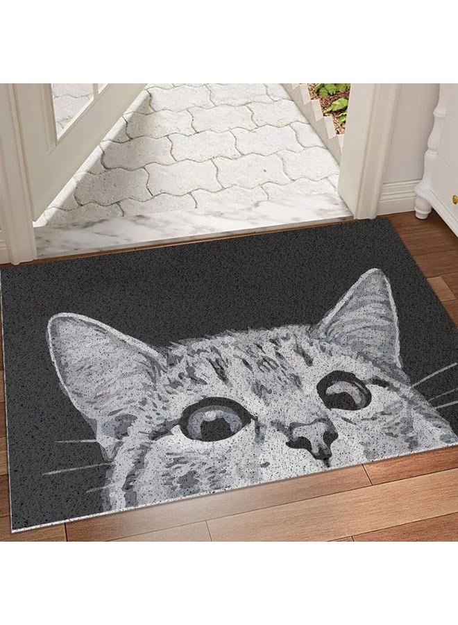 MR FANTASY Cat Door Welcome Mat - Outdoor Entrance, Durable Doormat for Indoors & Outdoors, High Traffic Areas, 17x29 - Image 1