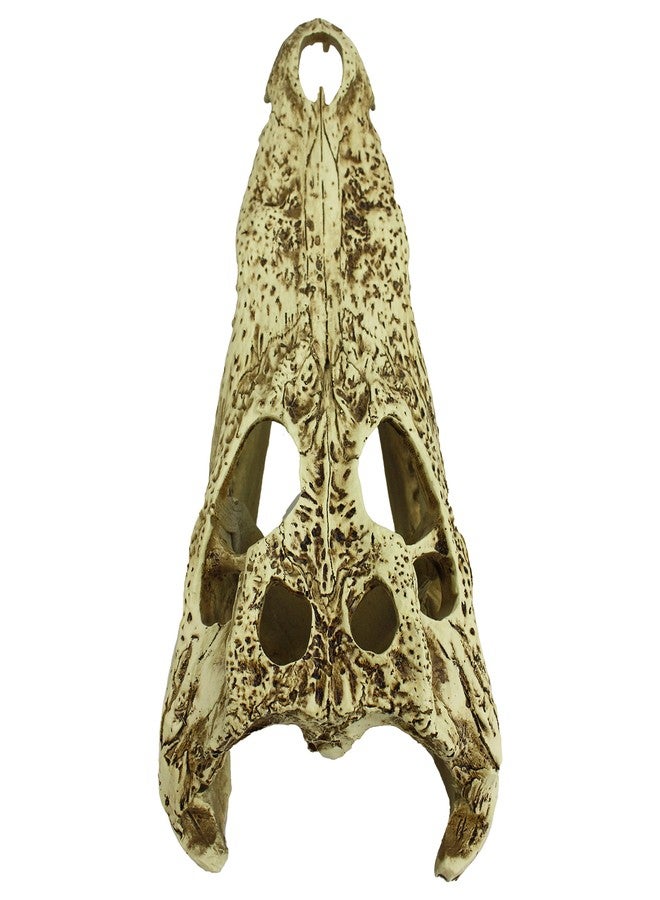 Komodo Reptile Terrarium Realistic Alligator Skull Ornament Decor | Easy to Clean Under Water Aquarium or Dry Habitat Decoration Accessory, 9 Inches - Image 4