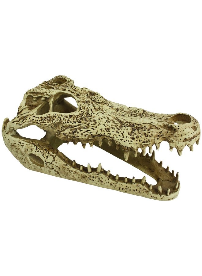 Komodo Reptile Terrarium Realistic Alligator Skull Ornament Decor | Easy to Clean Under Water Aquarium or Dry Habitat Decoration Accessory, 9 Inches - Image 1