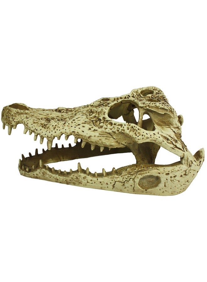 Komodo Reptile Terrarium Realistic Alligator Skull Ornament Decor | Easy to Clean Under Water Aquarium or Dry Habitat Decoration Accessory, 9 Inches - Image 3