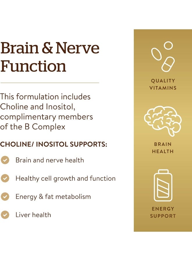 سولجر مكمل غذائي من الكولين/الإينوسيتول بتركيز 500 ملجم - 100 كبسولة نباتية - Image 5