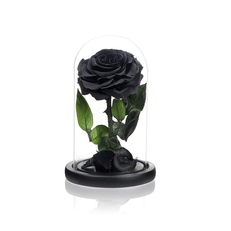NATROSES Handmade Preserved Roses in Glass Dome Black Roses Roses Preserved Flowers Gifts for Women Mothers Day Flowers