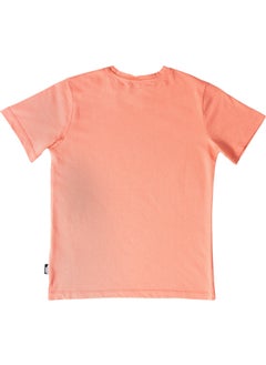 No Fear Salmon Front Printed Crew Neck Short Sleeve Boy's Cotton T-Shirt B500354  - Image 3
