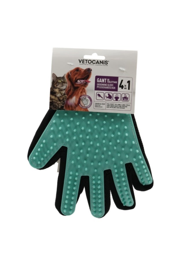 Grooming Glove, 4-in-1, France