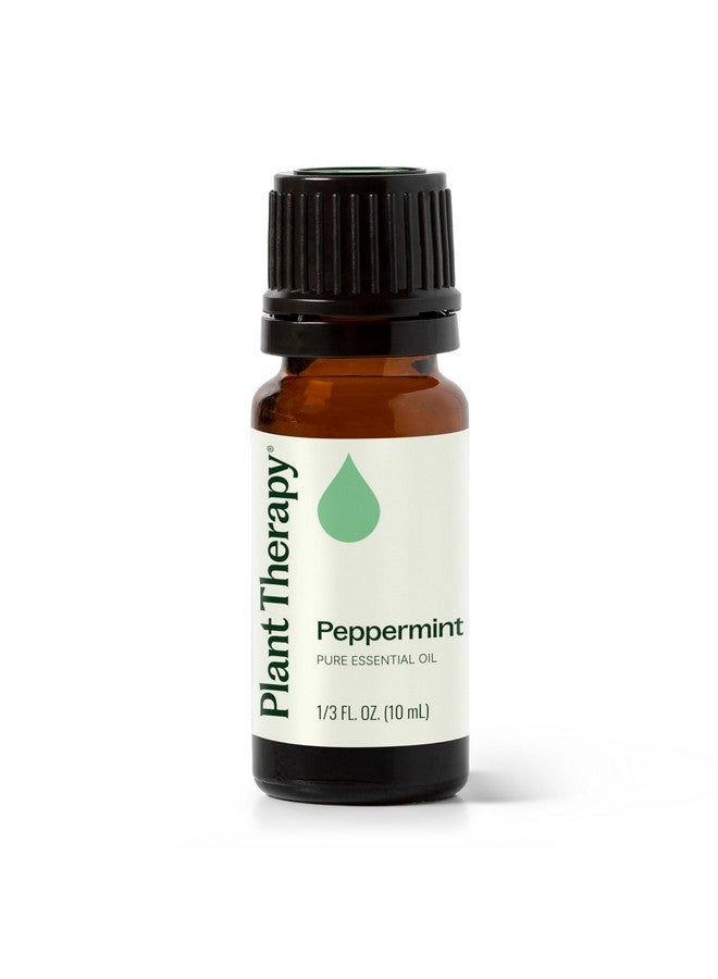 Plant Therapy Peppermint Essential Oil 10 mL (1/3 oz) 100% Pure, Undiluted, Natural Aromatherapy for Diffuser & Topical Use, Digestion, Respiratory, & Massage, Peppermint Oil for Skin & Hair - Image 1