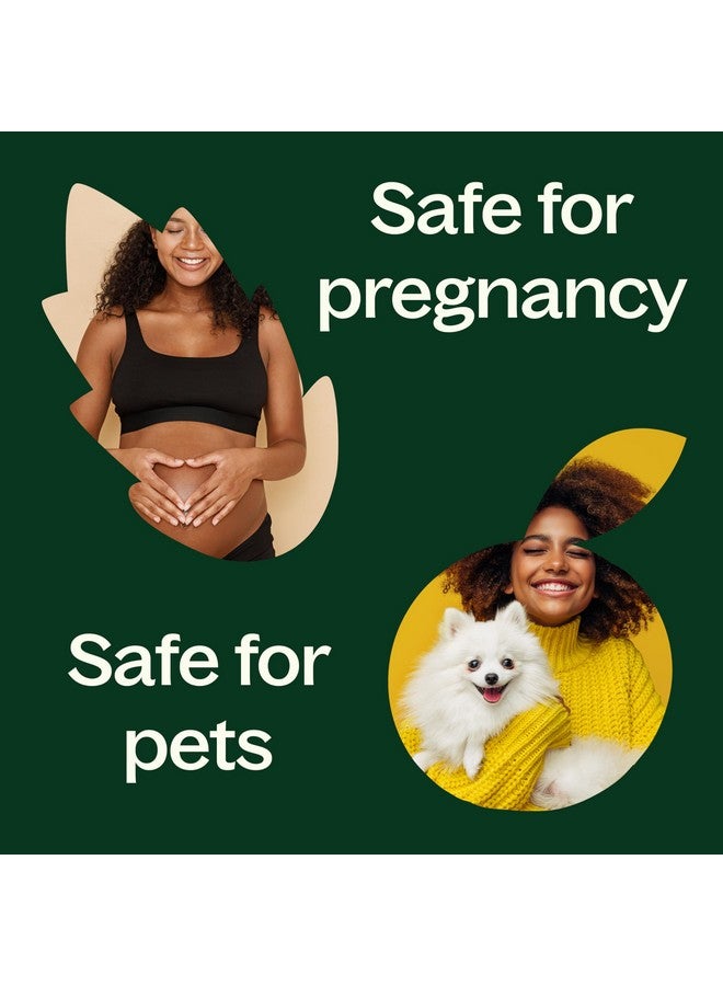 Plant Therapy Peppermint Essential Oil 10 mL (1/3 oz) 100% Pure, Undiluted, Natural Aromatherapy for Diffuser & Topical Use, Digestion, Respiratory, & Massage, Peppermint Oil for Skin & Hair - Image 5