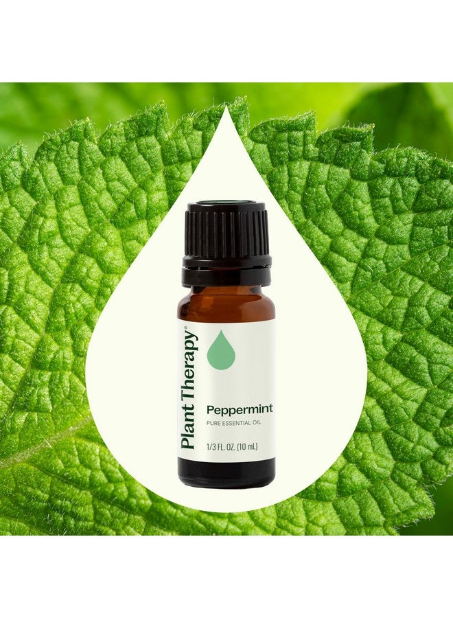 Plant Therapy Peppermint Essential Oil 10 mL (1/3 oz) 100% Pure, Undiluted, Natural Aromatherapy for Diffuser & Topical Use, Digestion, Respiratory, & Massage, Peppermint Oil for Skin & Hair - Image 3