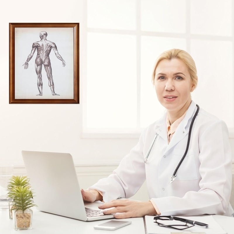 Multi item matching COOPHYA Skeletal System and Muscular Anatomy Poster 40x50cm Educational Wall Hanging Chart for Classroom Office Home Decoration Local available supply Easy assemble All-season available stock Globally popular universal design Trendy widespread design Market popular practical build One piece build Coast & inland available Spec upgraded improved quality Neat shape Remote village delivery cover Reliable daily use design Globally trusted quality Salt mist resistant Stable base Multi-style matching design Elegant practical multi-option build Upgraded classic design Multi item matching Global standard quality Hardness boosted processed substance Global upgraded economical craftsmanship Space saving Trendy economical quality - Image 4