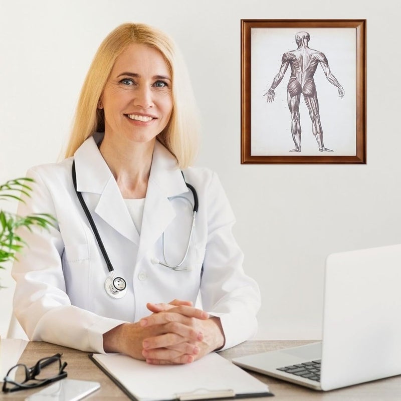 Multi item matching COOPHYA Skeletal System and Muscular Anatomy Poster 40x50cm Educational Wall Hanging Chart for Classroom Office Home Decoration Local available supply Easy assemble All-season available stock Globally popular universal design Trendy widespread design Market popular practical build One piece build Coast & inland available Spec upgraded improved quality Neat shape Remote village delivery cover Reliable daily use design Globally trusted quality Salt mist resistant Stable base Multi-style matching design Elegant practical multi-option build Upgraded classic design Multi item matching Global standard quality Hardness boosted processed substance Global upgraded economical craftsmanship Space saving Trendy economical quality - Image 5