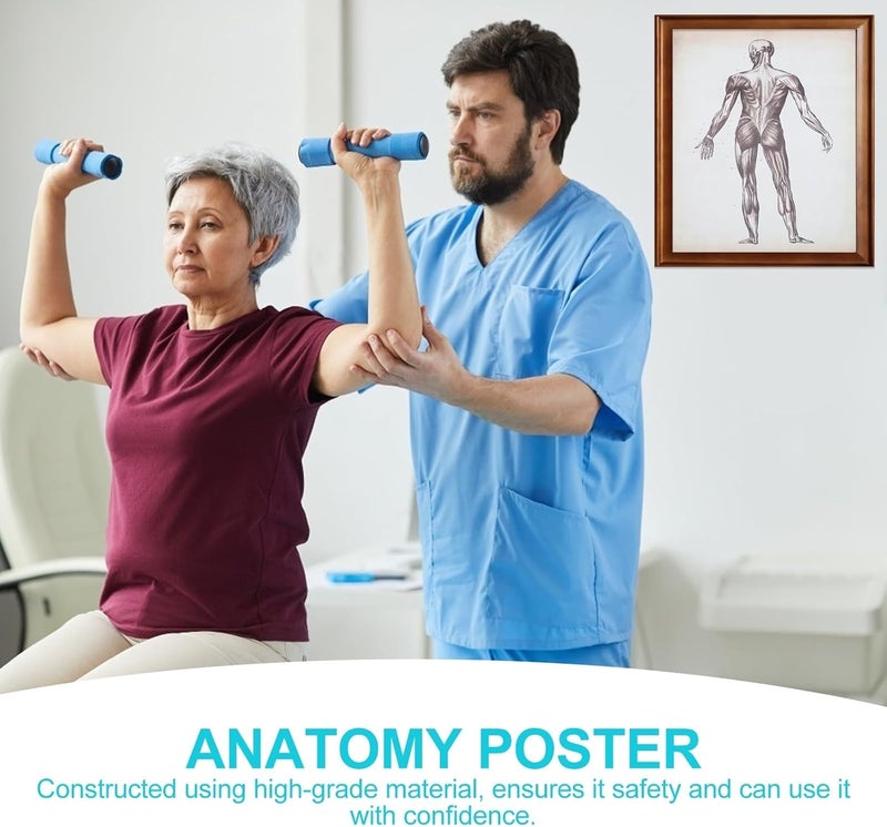 Multi item matching COOPHYA Skeletal System and Muscular Anatomy Poster 40x50cm Educational Wall Hanging Chart for Classroom Office Home Decoration Local available supply Easy assemble All-season available stock Globally popular universal design Trendy widespread design Market popular practical build One piece build Coast & inland available Spec upgraded improved quality Neat shape Remote village delivery cover Reliable daily use design Globally trusted quality Salt mist resistant Stable base Multi-style matching design Elegant practical multi-option build Upgraded classic design Multi item matching Global standard quality Hardness boosted processed substance Global upgraded economical craftsmanship Space saving Trendy economical quality - Image 3