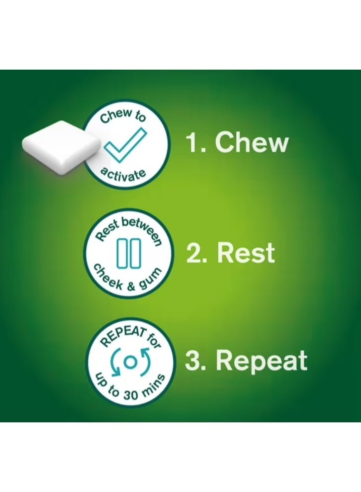 Nicorette Gum Spearmint Flavour, 2mg, 210 Pieces - Image 3