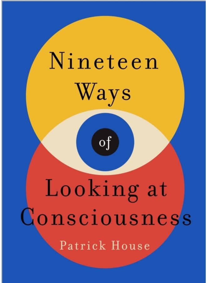 Nineteen Ways of Looking at Consciousness Our leading theories of how your brain really works - Paperback