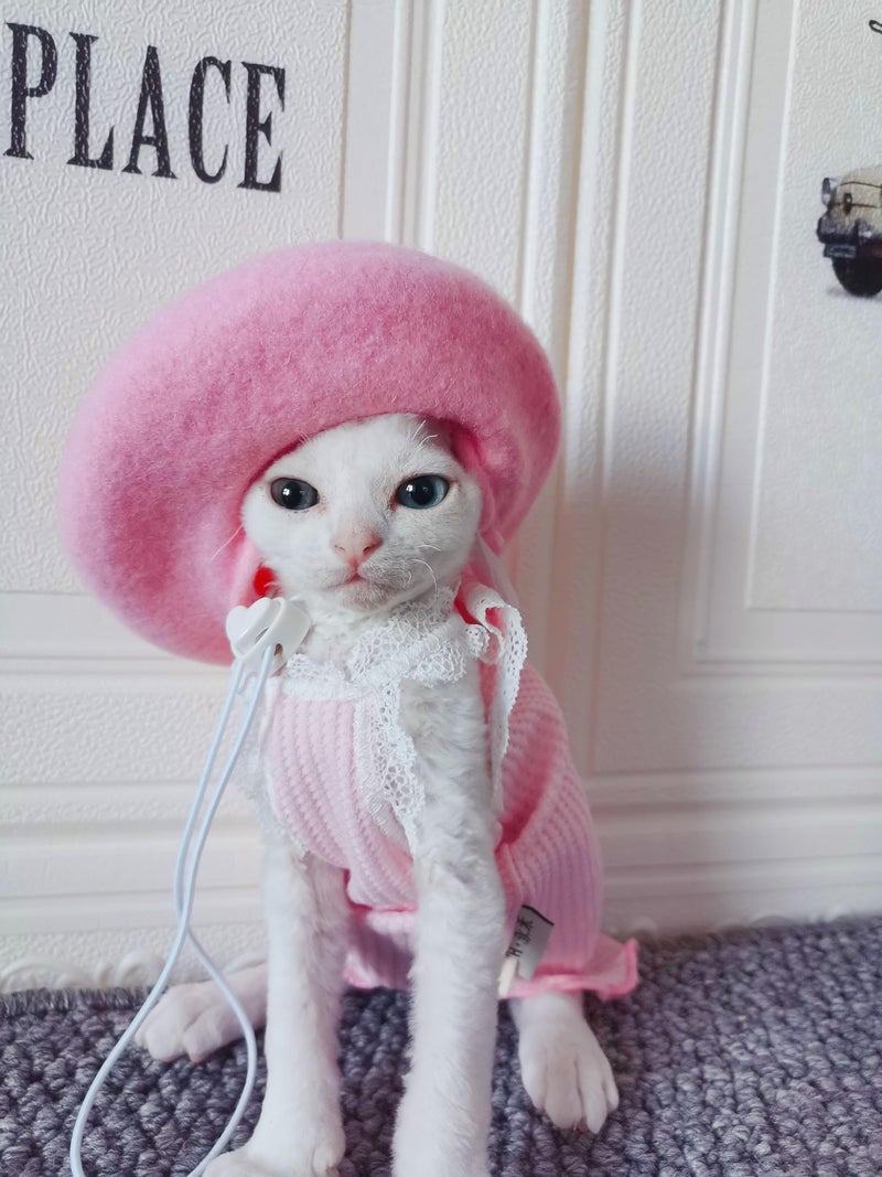 SLOTHCITY Dog Beret Hats Cats Hats Fashion Four Seasons Funny Wool Winter Pet Hat (Pink) - Image 2
