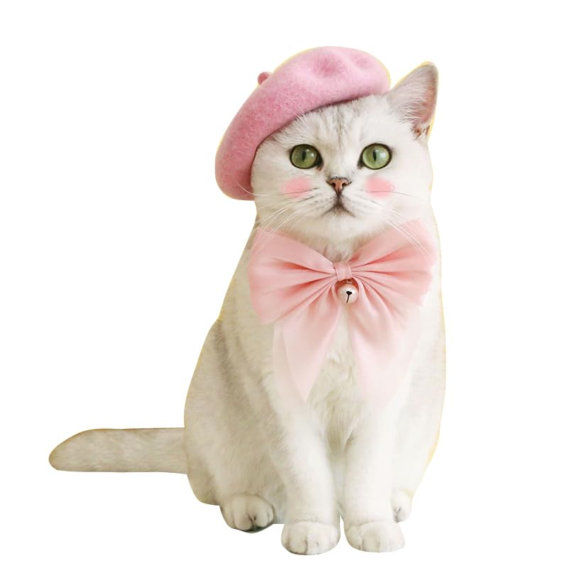 SLOTHCITY Dog Beret Hats Cats Hats Fashion Four Seasons Funny Wool Winter Pet Hat (Pink) - Image 1