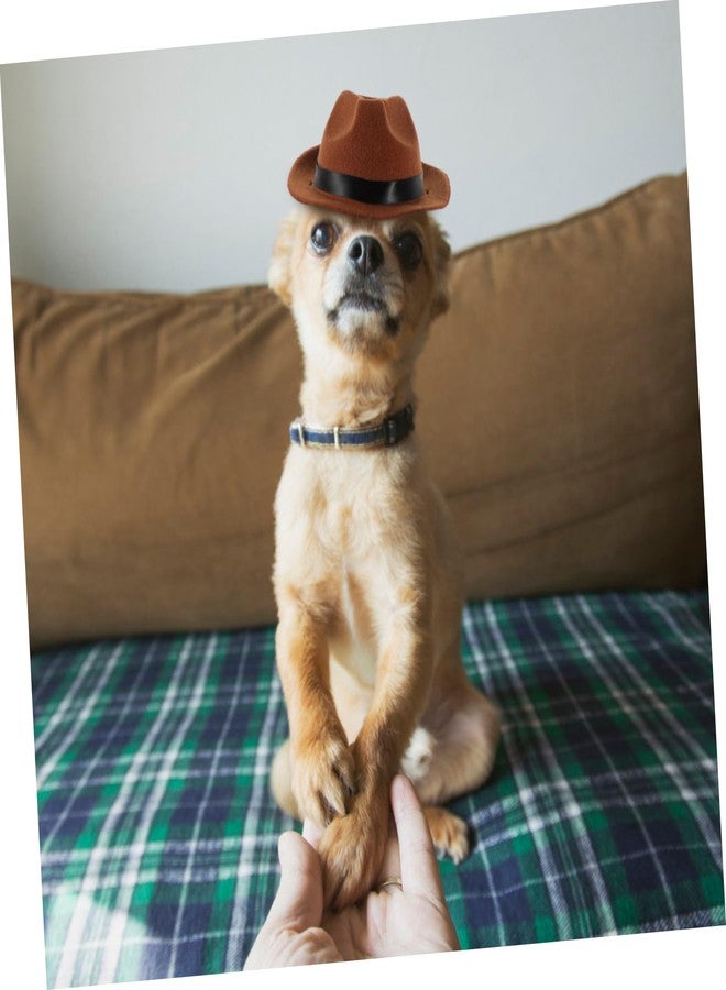 Healifty Mini Pet Fedora Hat, Brown Adjustable Cowboy Hat Cap Costume Accessory for Small Dogs and Cats Puppies Lightweight Puppy Birthday Photo Prop - Image 5
