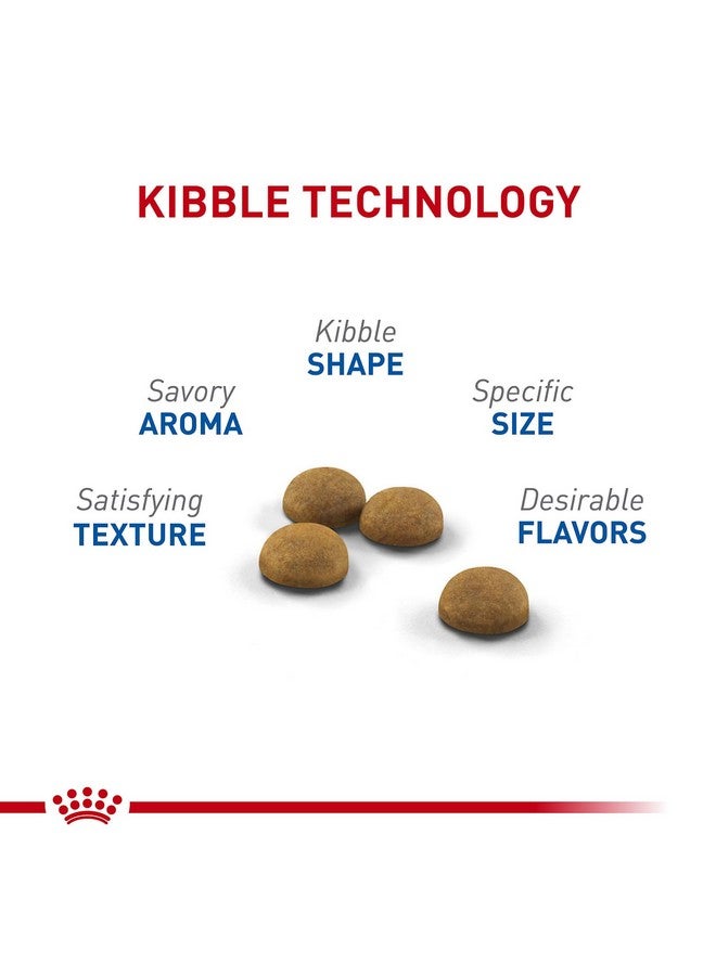 ROYAL CANIN Indoor Long Hair Adult Dry Cat Food, 6 Lb Bag - Image 2