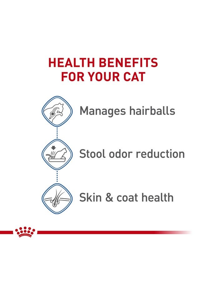 ROYAL CANIN Indoor Long Hair Adult Dry Cat Food, 6 Lb Bag - Image 3