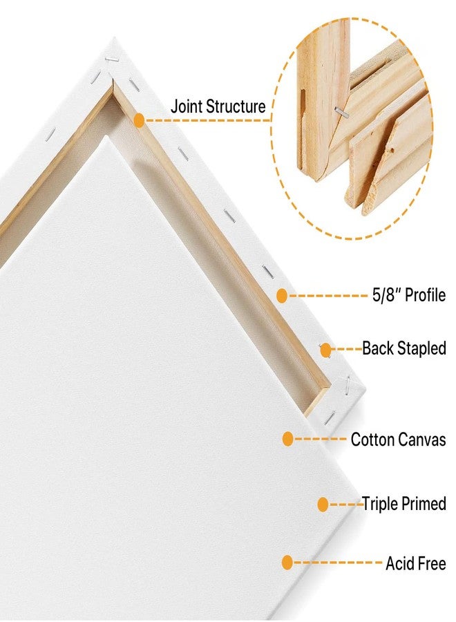 CONDA 8x8 inch Stretched Canvas for Painting, Pack of 8, 100% Cotton, 5/8 Inch Profile Value Bulk Pack for Acrylics, Oils Painting - Image 2