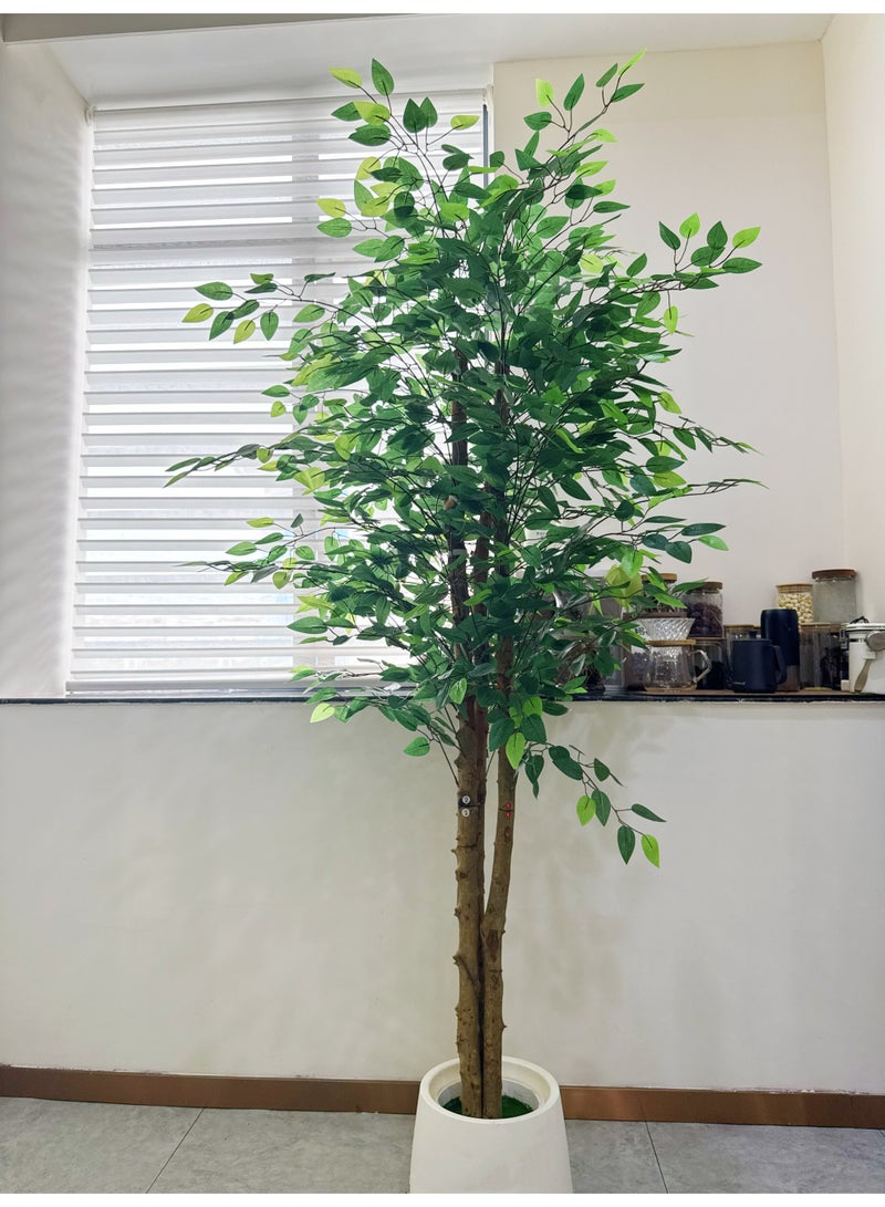 نبات تين اصطناعي في أصيص - شجرة حريرية بطول 6 أقدام (180 سم)، نبات محاكاة مثالي في أصيص لتزيين المنزل/المكتب/الحديقة داخليًا/خارجيًا وهدية لاستقبال المنزل الجديد - Image 1