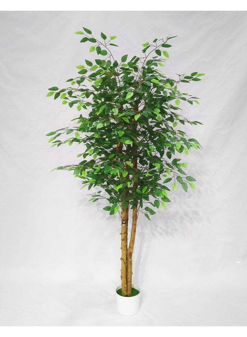 نبات تين اصطناعي في أصيص - شجرة حريرية بطول 6 أقدام (180 سم)، نبات محاكاة مثالي في أصيص لتزيين المنزل/المكتب/الحديقة داخليًا/خارجيًا وهدية لاستقبال المنزل الجديد - Image 2