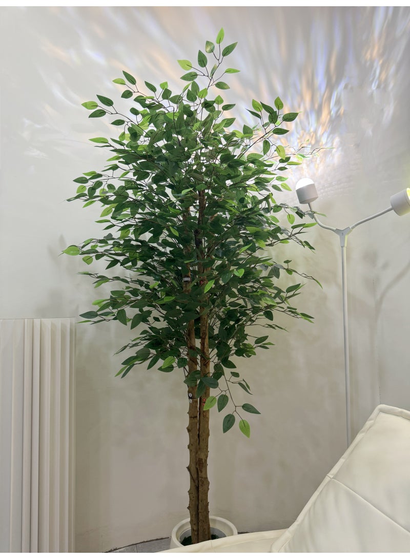 نبات تين اصطناعي في أصيص - شجرة حريرية بطول 6 أقدام (180 سم)، نبات محاكاة مثالي في أصيص لتزيين المنزل/المكتب/الحديقة داخليًا/خارجيًا وهدية لاستقبال المنزل الجديد - Image 4