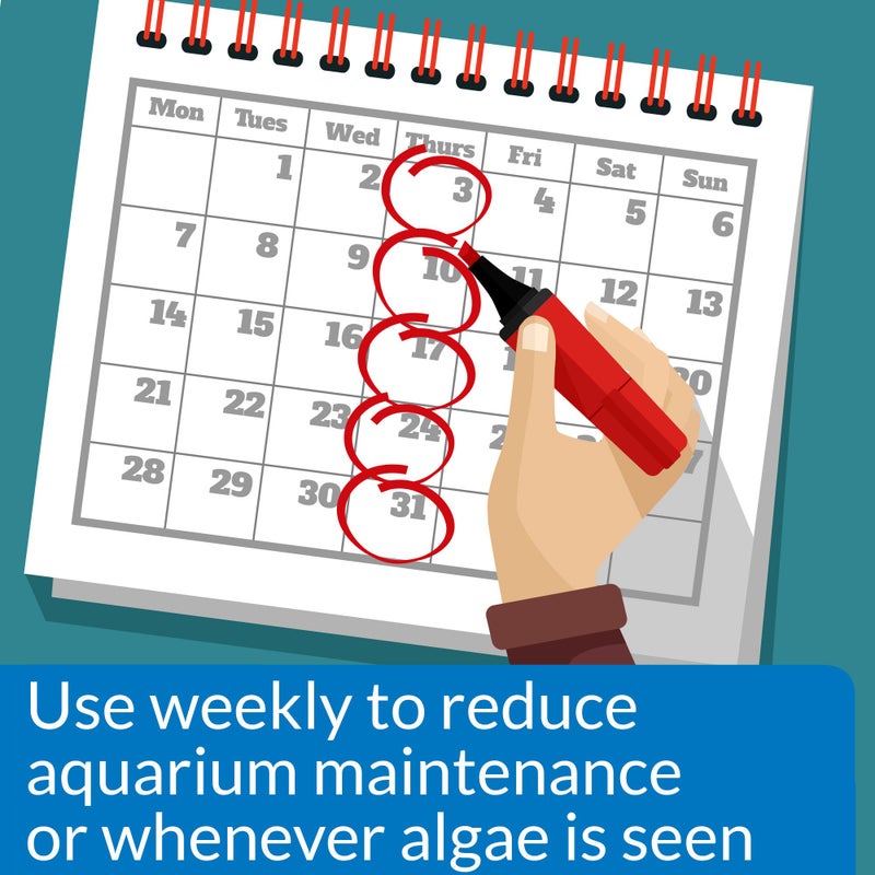 API ALGAEFIX Algae Control 16-Ounce Bottle - Image 2