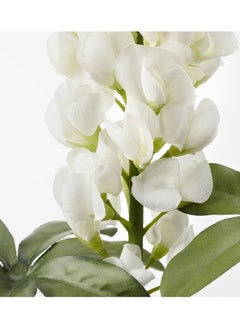 Generic SMYCKA Artificial flower, Lupin/white, 74 cm  - Image 2