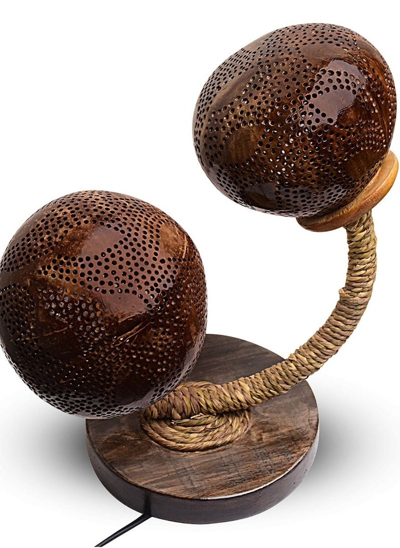 N & H 2 Balls Design Coconut Shell Table Lamp With Leaves  - Image 5