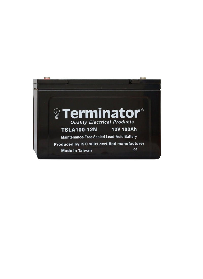Terminator - Terminator Sealed Lead Acid Battery 12V-100Ah TSLA 100-12N - Image 1