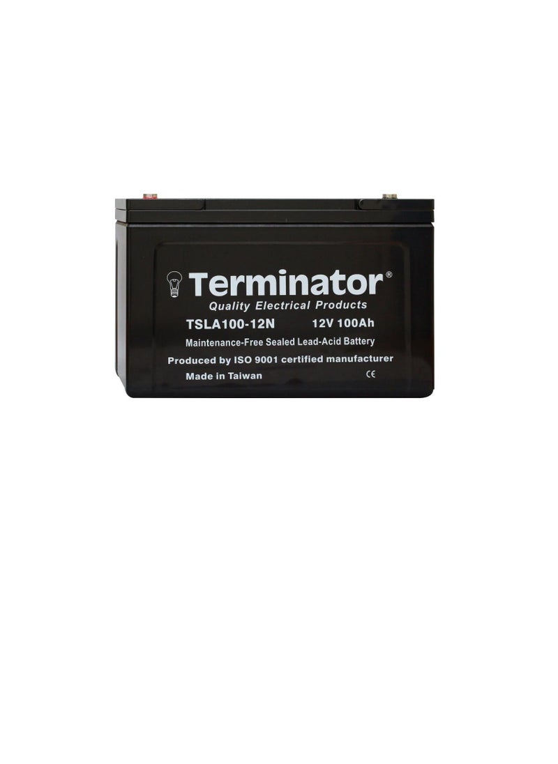 Terminator - Terminator Sealed Lead Acid Battery 12V-100Ah TSLA 100-12N - Image 1