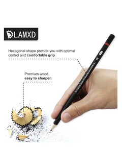 Y&D Drawing Pencils 8B 7B 6B 5B 4B 3B 2B B HB F H 2H Sketching with Graphite Lead Artist Set for Adults Artists Student Beginners Professional 12 Pcs  - Image 4