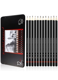 Y&D Drawing Pencils 8B 7B 6B 5B 4B 3B 2B B HB F H 2H Sketching with Graphite Lead Artist Set for Adults Artists Student Beginners Professional 12 Pcs  - Image 1