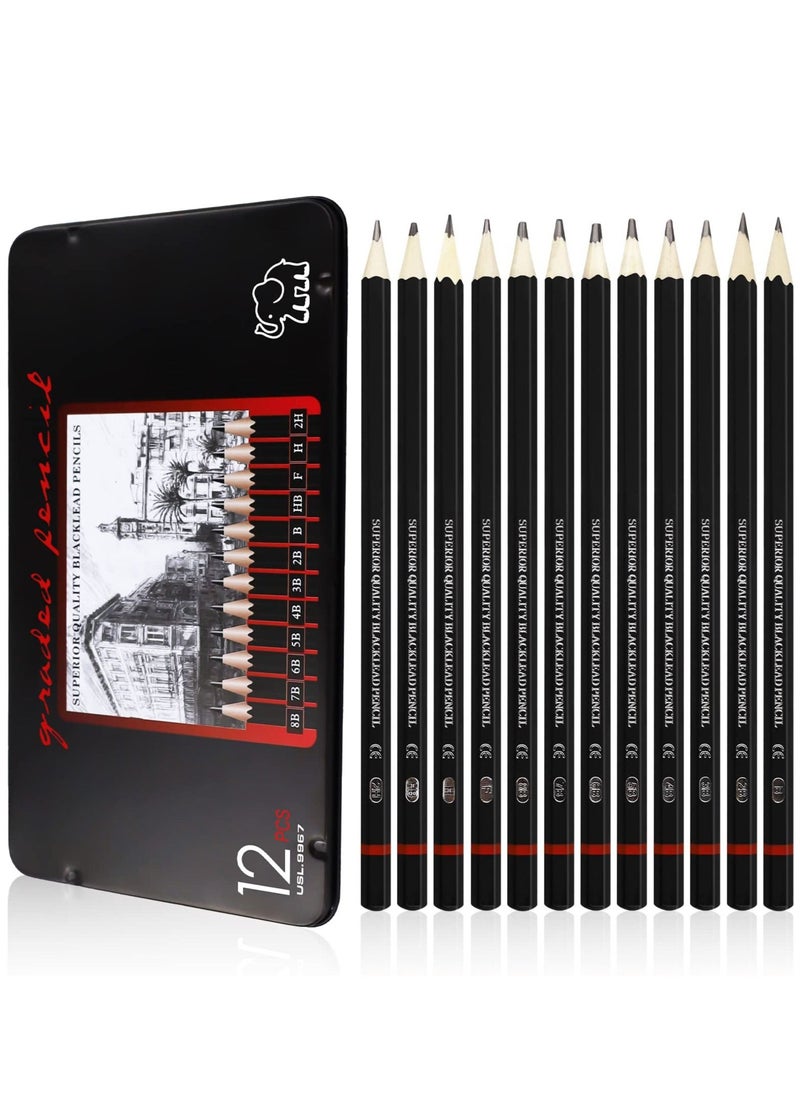 Y&D Drawing Pencils 8B 7B 6B 5B 4B 3B 2B B HB F H 2H Sketching with Graphite Lead Artist Set for Adults Artists Student Beginners Professional 12 Pcs  - Image 1