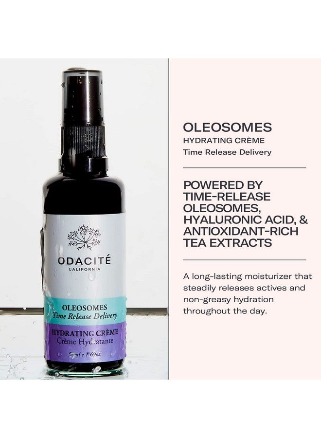 أوداسايت كريم الوجه المرطب من Odacité، كريم مرطب مضاد للشيخوخة، مرطب للوجه خفيف الوزن مع حمض الهيالورونيك للترطيب والخطوط الدقيقة، 1.69 أونصة سائلة. أوز - Image 2