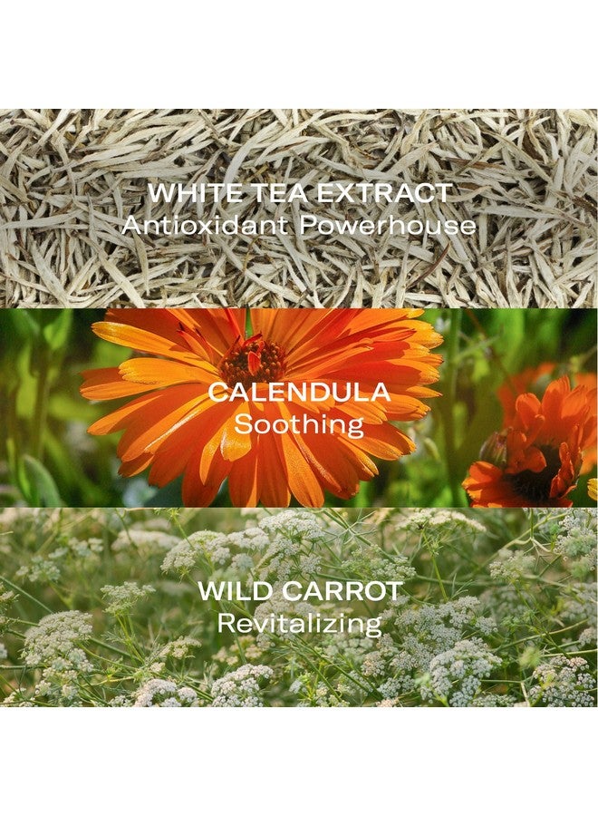 أوداسايت كريم الوجه المرطب من Odacité، كريم مرطب مضاد للشيخوخة، مرطب للوجه خفيف الوزن مع حمض الهيالورونيك للترطيب والخطوط الدقيقة، 1.69 أونصة سائلة. أوز - Image 4