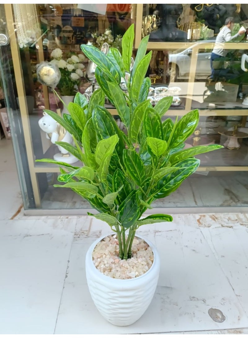 Imported decorative tree, leather, with pot and decorative pebbles, 75 cm