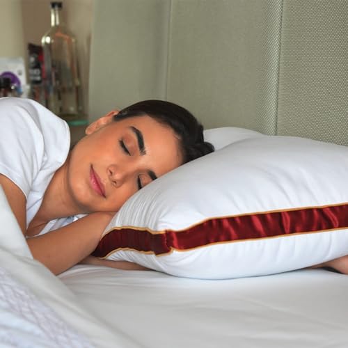 Sleepsia Microfiber Bed Pillow for Sleeping | Down Alternative Ultrasoft Cotton Washable Pillow | Soft Pillow (Cloud Red Pack 1) 16X24 - Image 1
