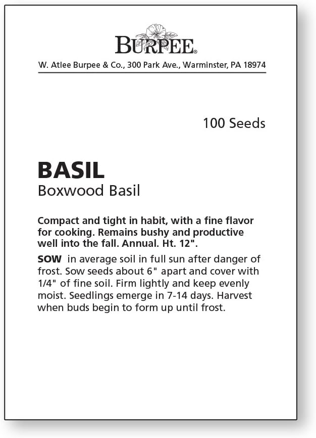 Burpee 67105A Boxwood Basil Seeds - Image 4