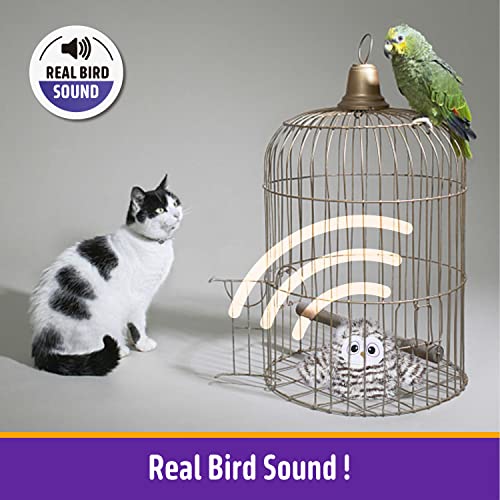 Kimee Interactive Cat Toy Rechargeable Automatic Chirping Owl Kitten Toy with Catnip, Auto Beating Wings Flying Bird Cat Toys for Indoor Cats to Play Alone, Never Boredom - Image 4