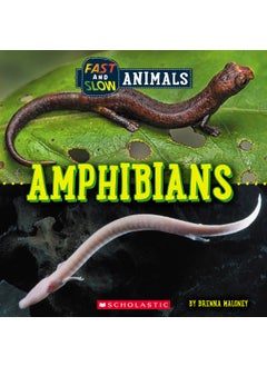 Amphibians (Wild World: Fast and Slow Animals)