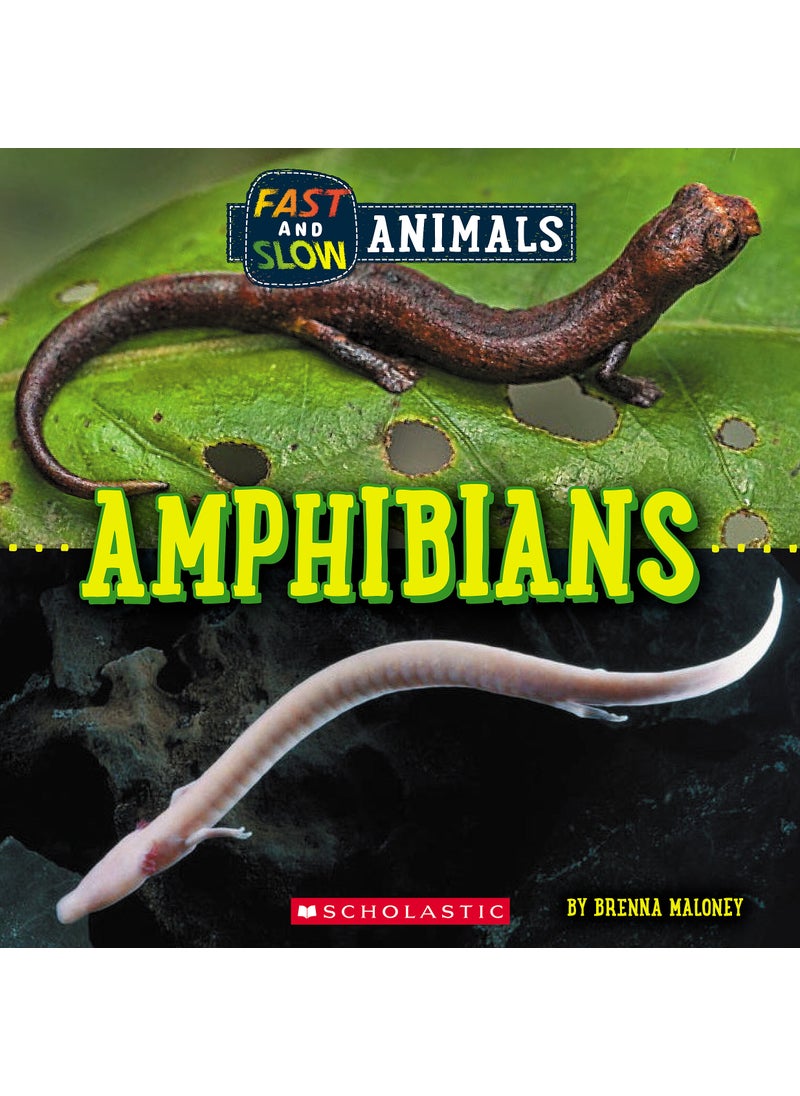 null - Amphibians (Wild World: Fast and Slow Animals) - Image 1