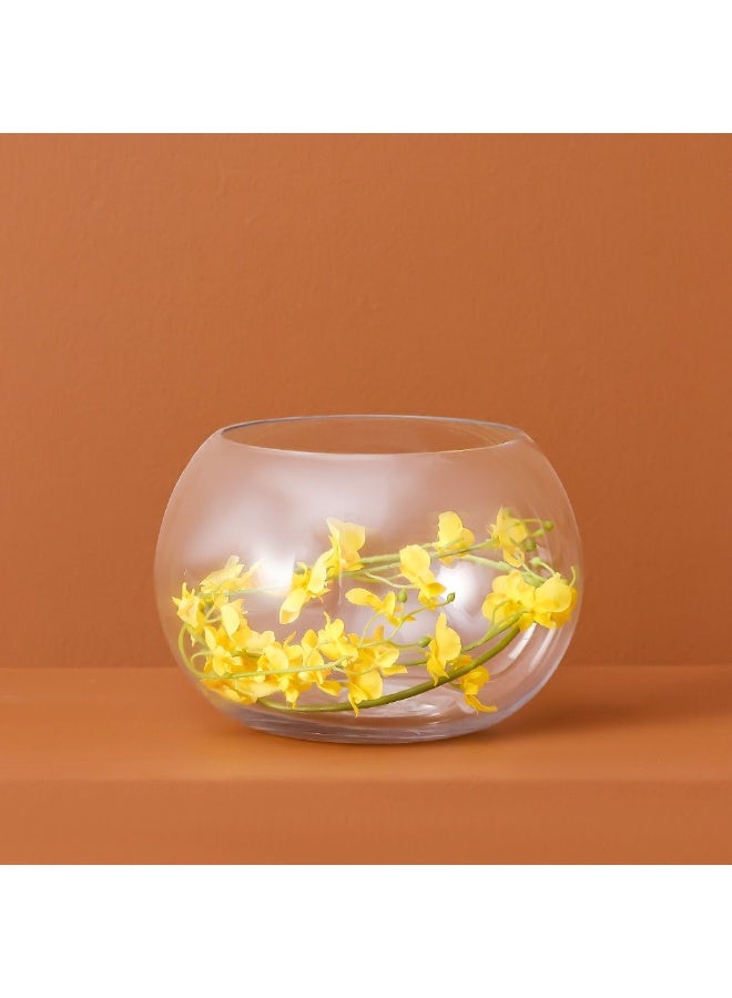 Danube Home Vetro Clear Glass Bowl - 34X17.5Cm Elegant Decorative Home Accessory For Centerpiece & Showcasing Decor Items Stylish Decorative Bowls - Image 3