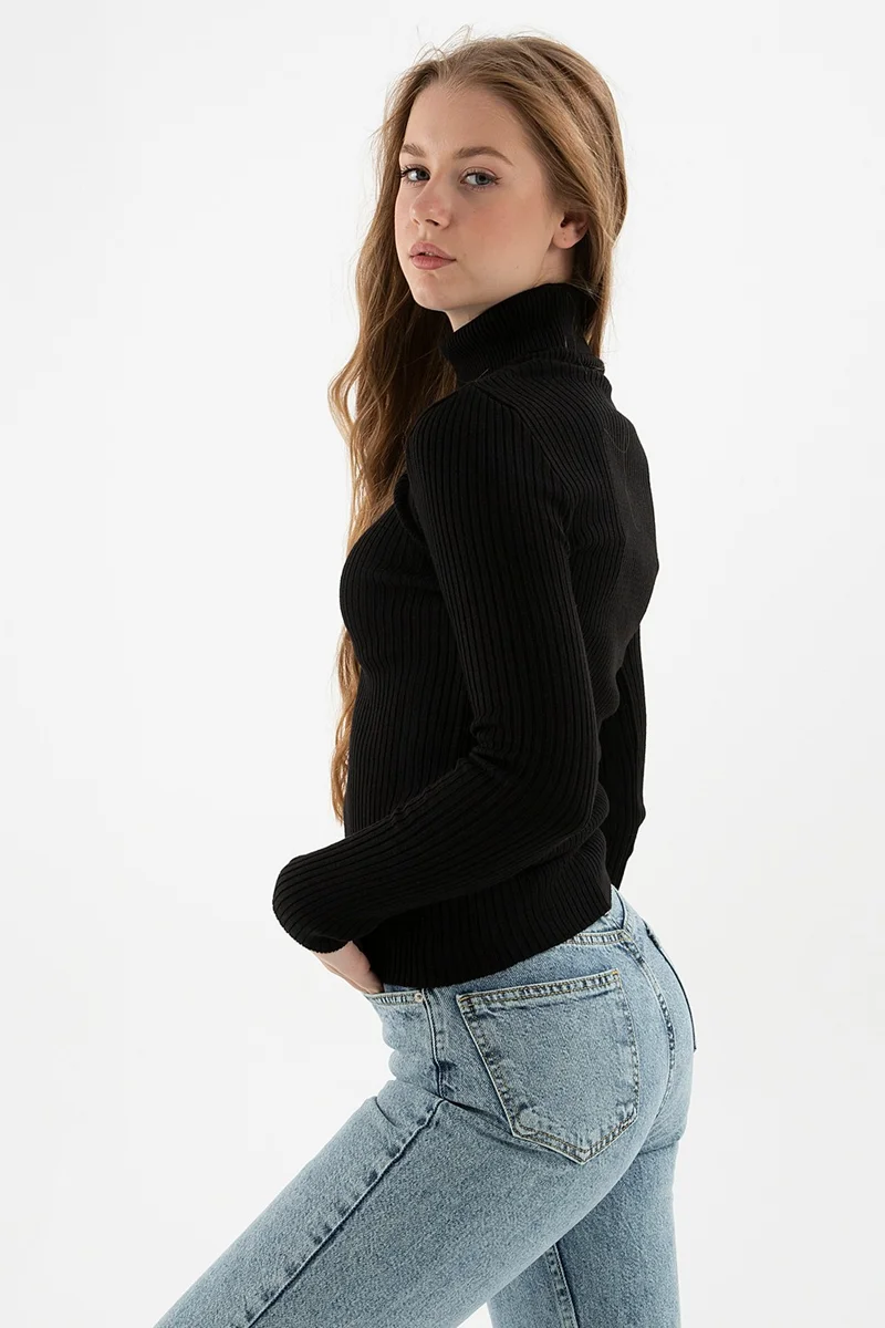 فاشن فريندز Slim Fit Turtleneck Ribbed Knitwear Sweater Women's Sweater 24K0288K1