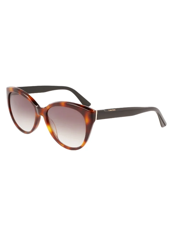 CALVIN KLEIN FULL RIM ACETATE CALVIN KLEIN SUN CK22520S