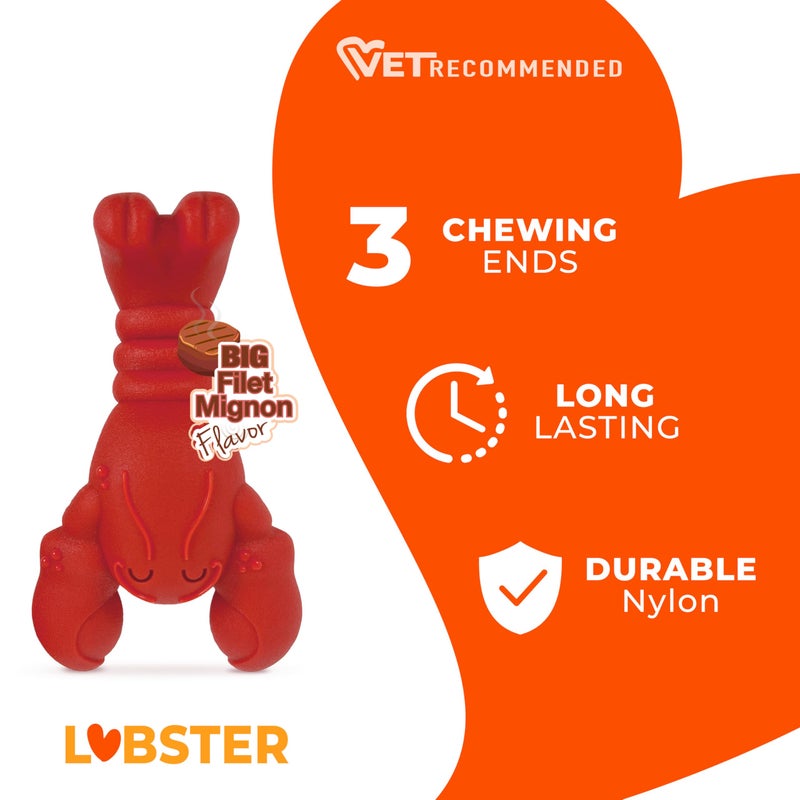 Nylabone Lobster Power Chew Toy for Dogs, Dog Toys for Aggressive Chewers, Filet Mignon Flavor, Small Dogs - Up to 25 Ibs, 1 Count - Image 2