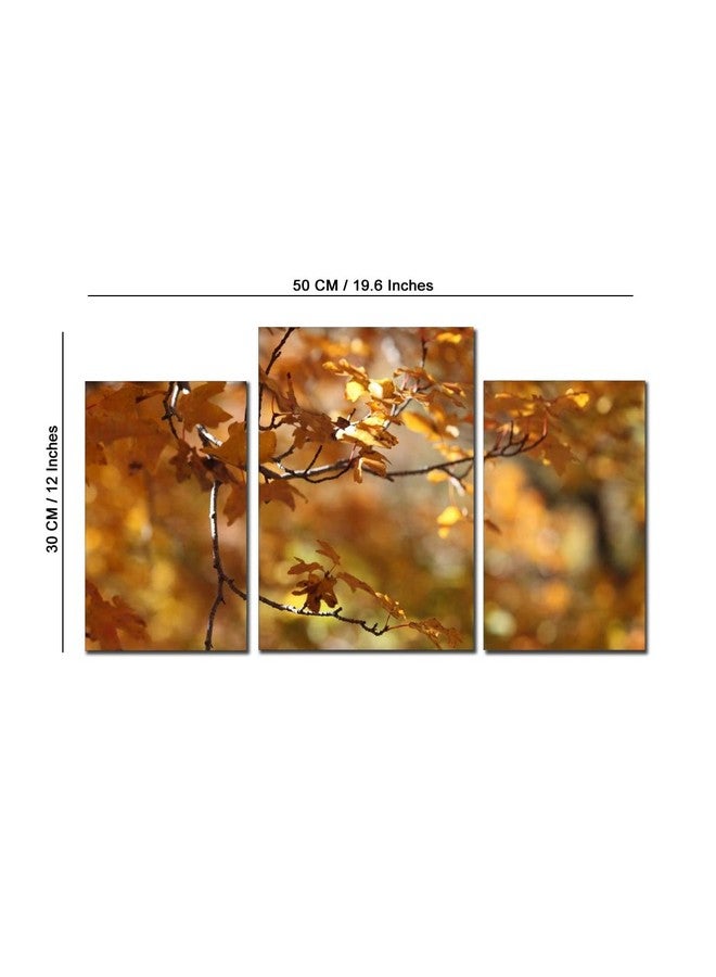 لوحة جدارية من مادة MDF بتصميم Go Hooked/فن معلق/ديكور (28 سم × 9 سم × 28 سم، 3 إطارات، MDF3X-16)