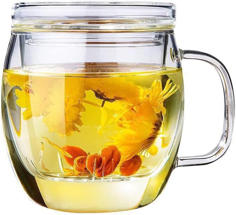 Bunhut Glass Tea Cup with Infuser and Lid,500ml (17oz) Borosilicate Glass Tea Mugs for Loose Leaf Tea,Glass Tea Cups with Filter for Black Tea,Great Loose Tea-leaf Brewing System - Image 1